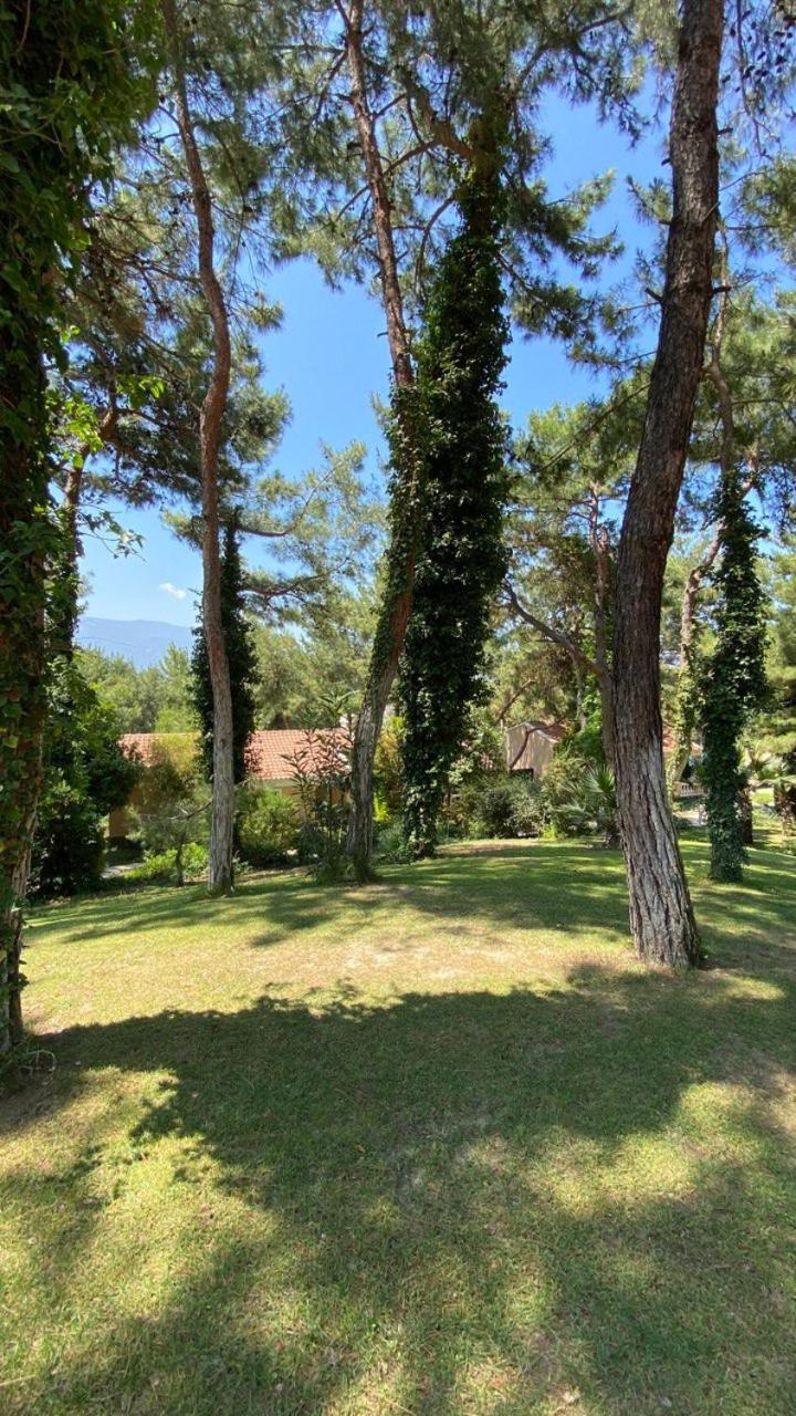 Pine Club Apart Hotel Kuşadası Ngoại thất bức ảnh