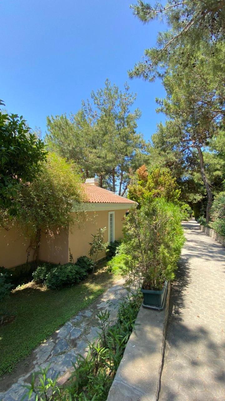 Pine Club Apart Hotel Kuşadası Ngoại thất bức ảnh